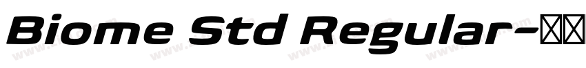 Biome Std Regular字体转换